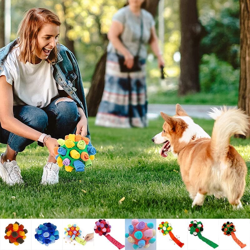 Kauwspeeltje voor honden